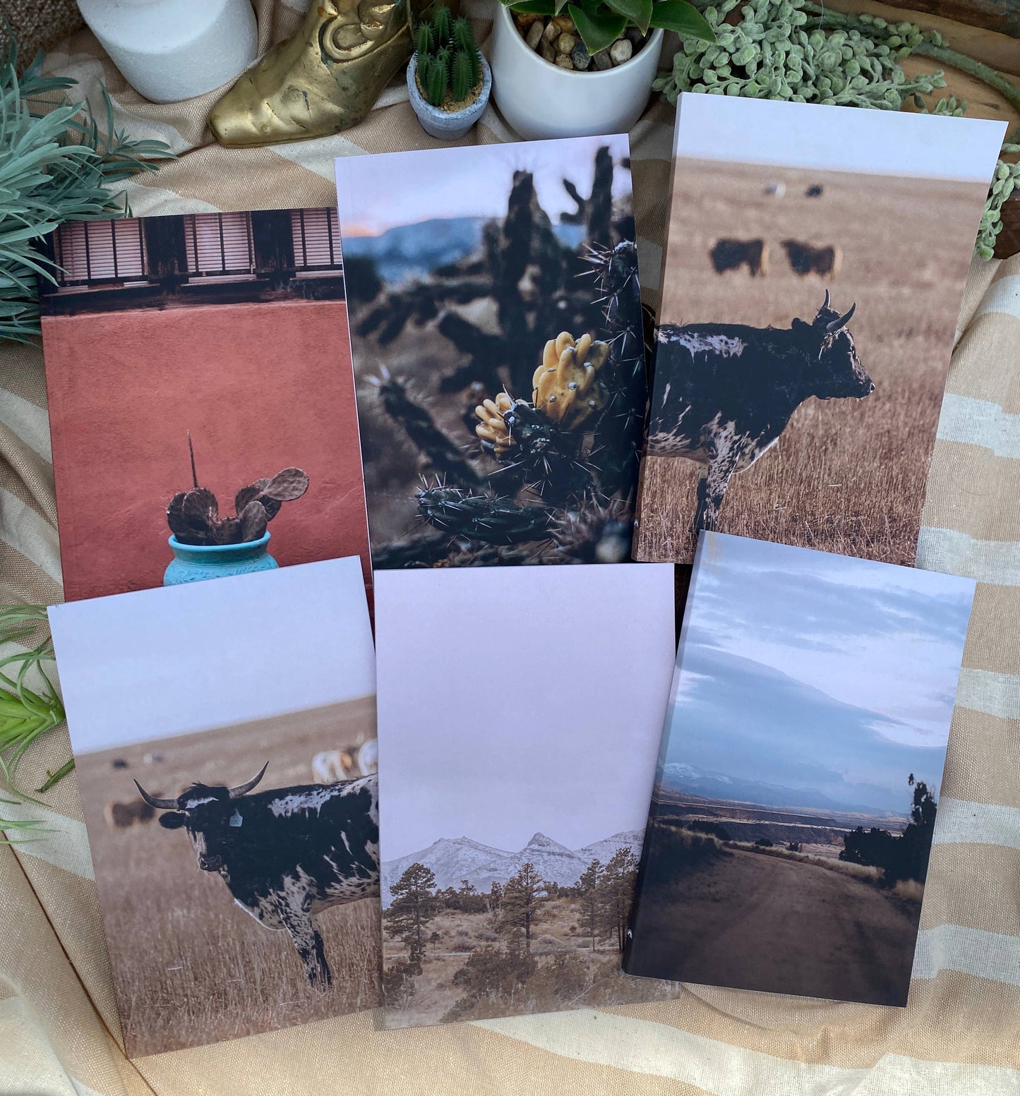 Blank Lined Notebook : #2 Cow in Pasture looking left