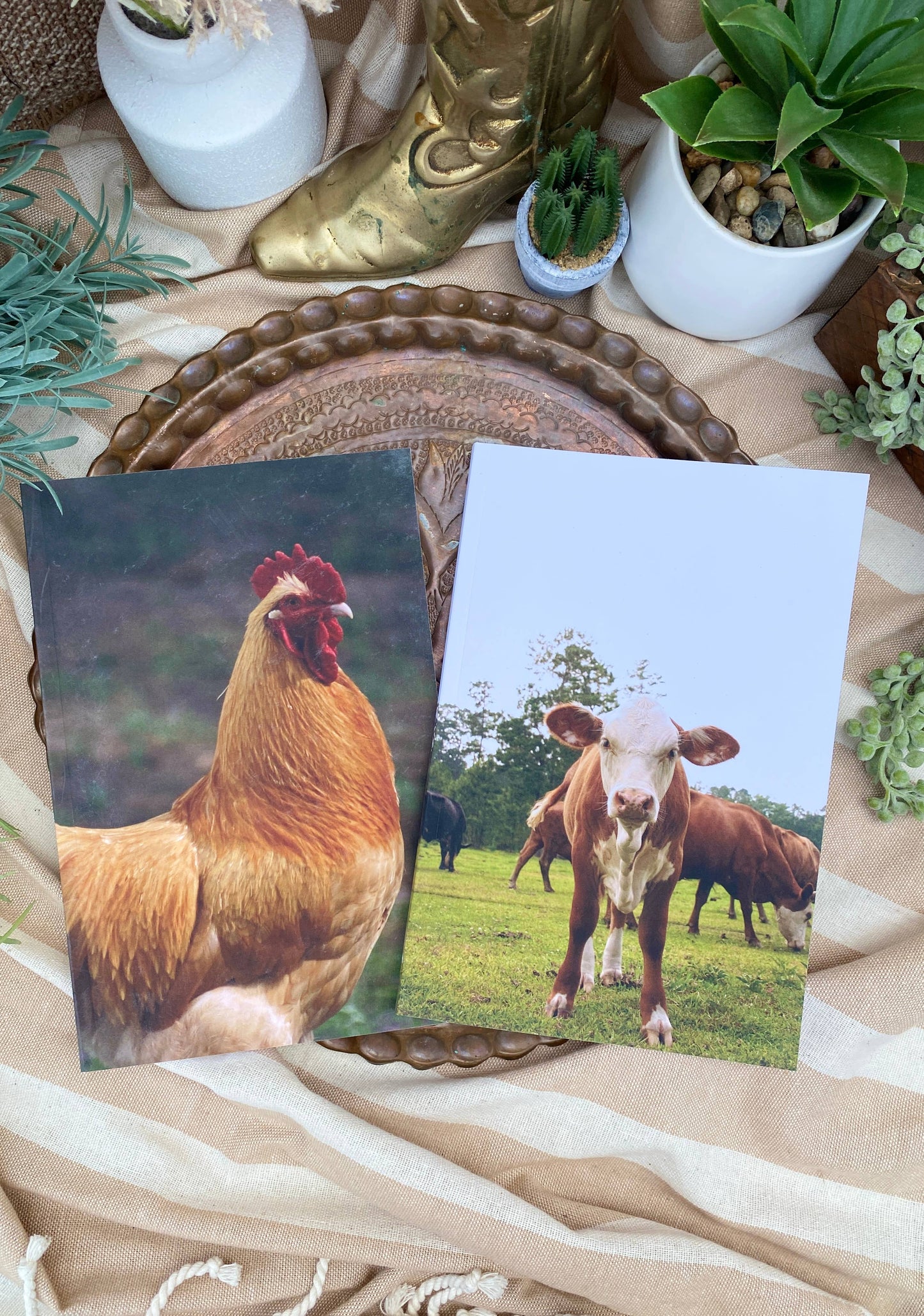 Blank Lined Notebook : Louisiana Cow