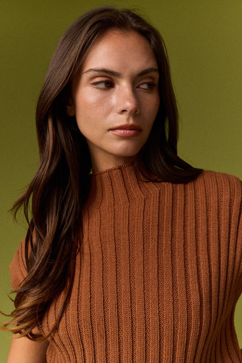 Rory Turtleneck Sweater Cropped Vest